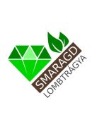 Tuja kondicionálására, védelmére Smaragd Extra Mg 1L