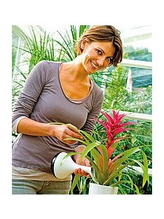   Gloria Grow pumpás permetező vagy locsoló lila színben ( 0,8 l)