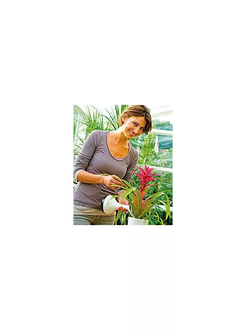 Gloria Grow pumpás permetező vagy locsoló lila színben ( 0,8 l)
