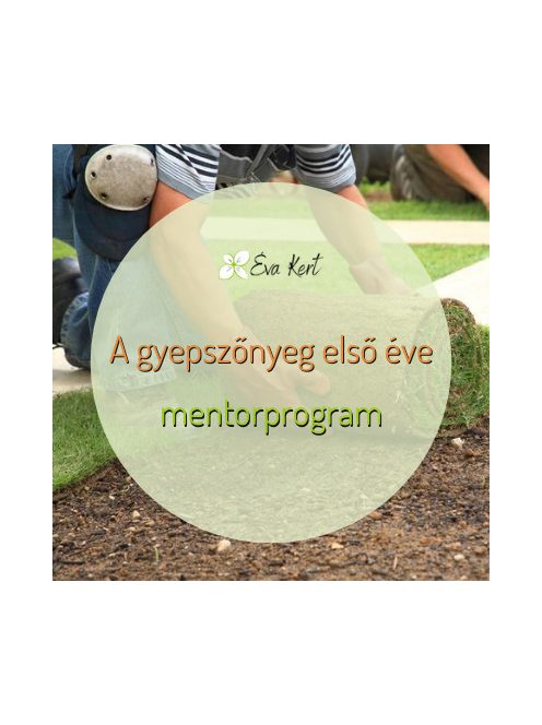 A gyepszőnyeg első éve mentorprogram