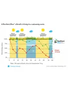  Barenbrug Resilient Blue Lawn fűmagkeverék 1kg