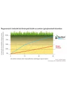 Barenbrug Resilient Blue Lawn fűmagkeverék 5kg