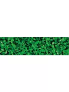 Barenbrug Mikrohere vetőmag 0,5 kg