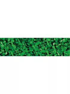 Barenbrug Mikrohere vetőmag 0,5 kg