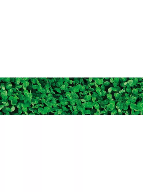 Barenbrug Mikrohere vetőmag 0,5 kg