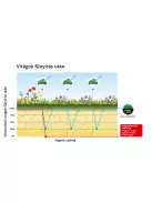 Barenbrug Happy Lawn - fűmagkeverék virágmagokkal 0,5kg