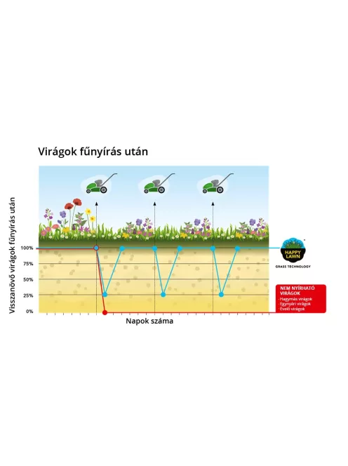 Barenbrug Happy Lawn - fűmagkeverék virágmagokkal 0,5kg