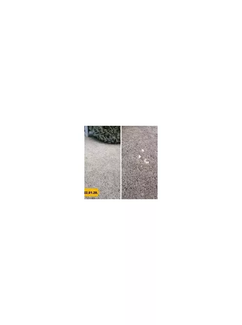 Barenbrug Bermuda csillagpázsit 0,5 kg