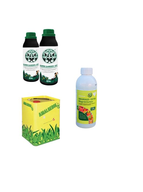 Örökzöld Rutin - kicsi csomag