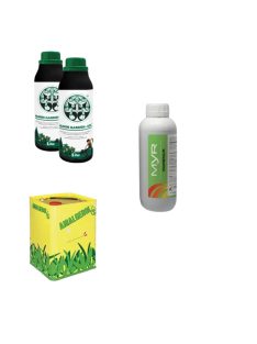 Örökzöld Rutin Revolution - S csomag