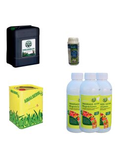 Örökzöld Rutin - nagy csomag