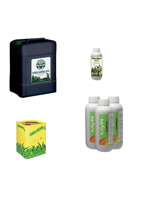 Örökzöld Rutin Revolution - M csomag