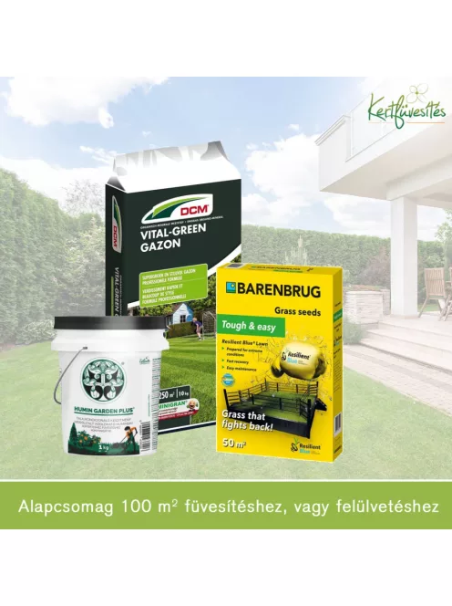Füvesítés alapcsomag (100m2), általános gyepre