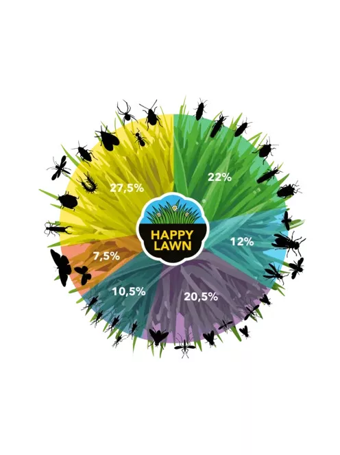 Barenbrug Happy Lawn - fűmagkeverék virágmagokkal 5kg