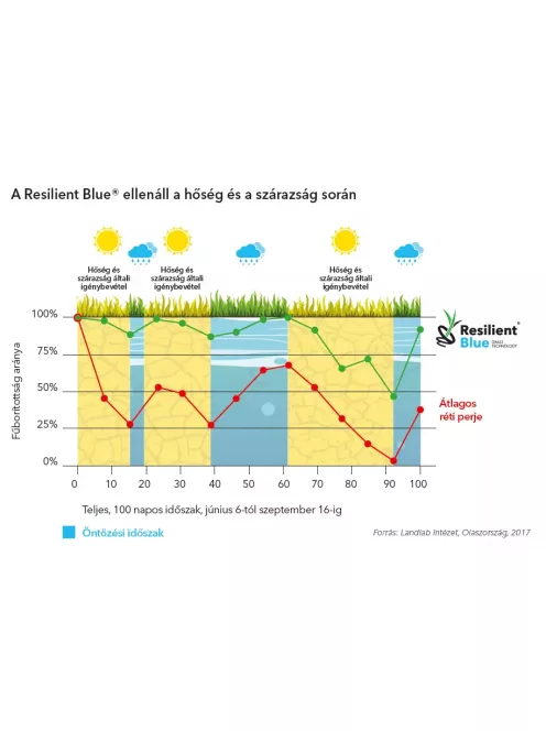 Barenbrug Resilient Blue Sport fűmagkeverék 5kg