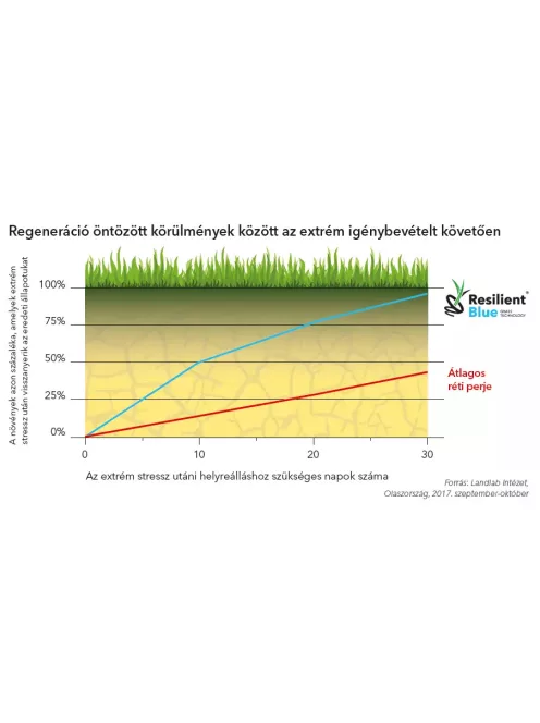  Barenbrug Resilient Blue Sport fűmagkeverék 15kg