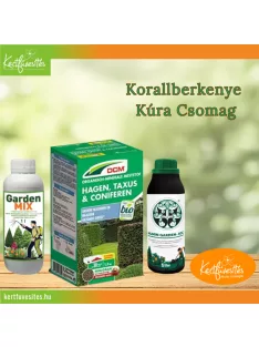 Korallberkenye Kúra Csomag