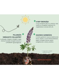   LUPIGREEN® P56 ősz - protect szerves-ásványi gyeptrágya 8 kg