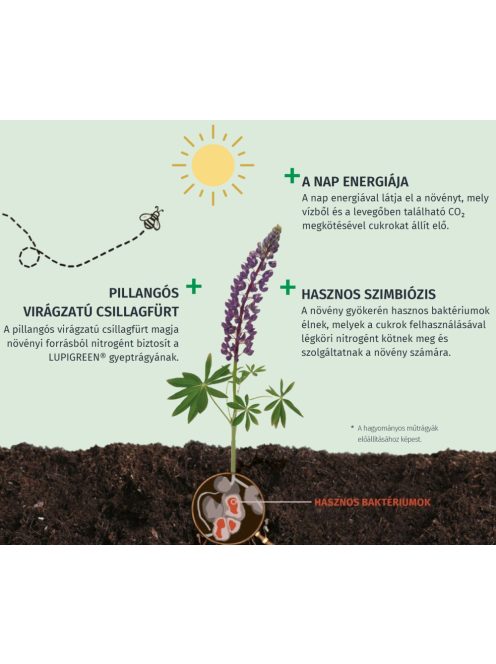 LUPIGREEN® P56 ősz - protect szerves-ásványi gyeptrágya 8 kg