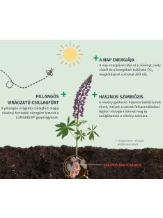 LUPIGREEN® őszi P56 szerves-ásványi gyeptrágya 20 kg