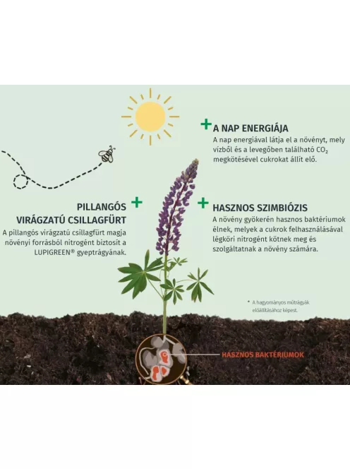 LUPIGREEN® őszi P56 szerves-ásványi gyeptrágya 20 kg