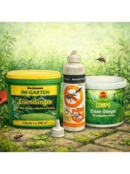 Rovar és moha irtók