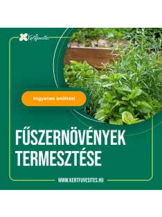 Fűszernövények termesztése