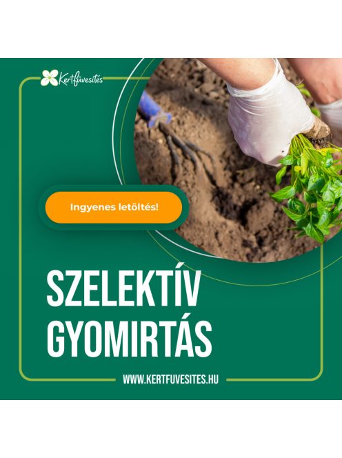 Szelektív gyomirtás