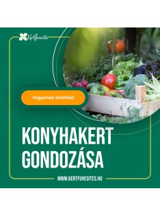 Konyhakert gondozása