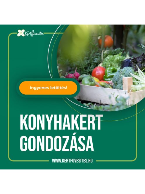 Konyhakert gondozása