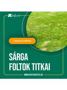 Sárga foltok kezelése a gyepen
