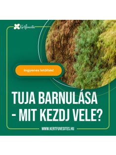 Tuja barnulása – mit kezdj vele?