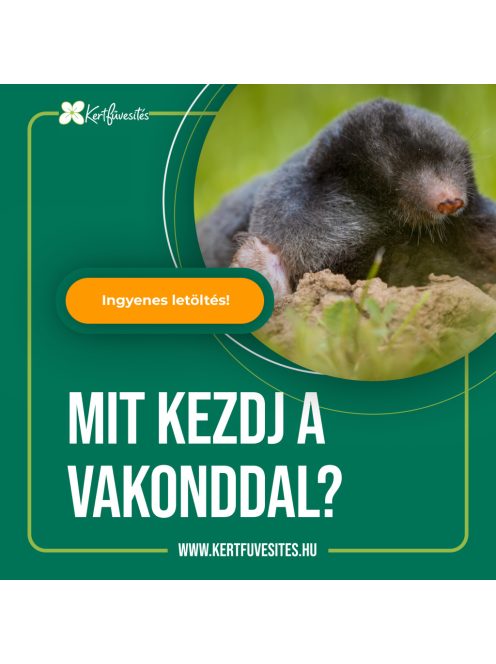 Mihez kezdj a vakonddal?