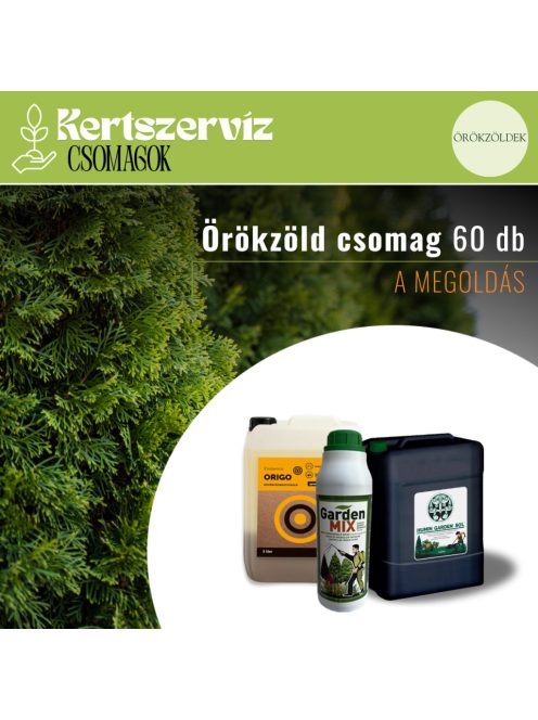 Megoldás - örökzöld csomag 60 db