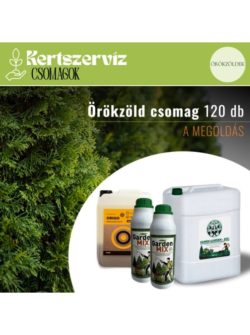 Megoldás - örökzöld csomag 120 db