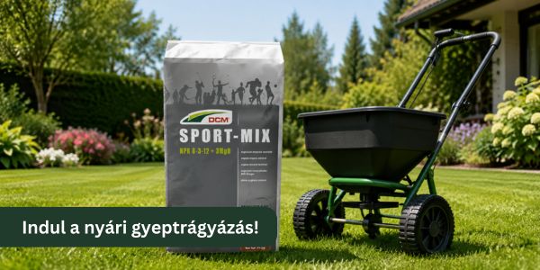 Nyári gyepápolás: így marad zöld a gyep a kánikulában