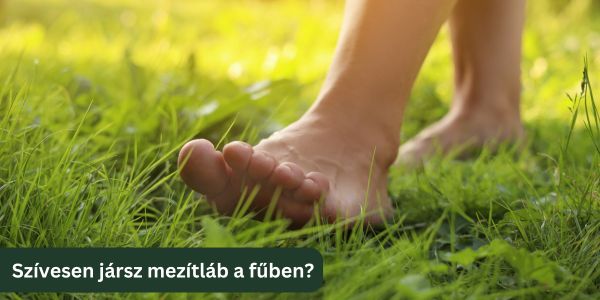 Vedd le a cipőd! A gyep, amin mezítláb is öröm végigsétálni