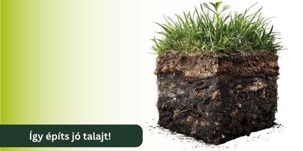 Ugyanannyi eső, két teljesen másként viselkedő kert – mi a különbség?