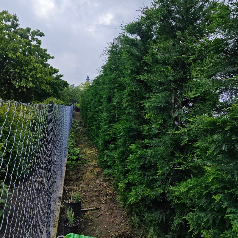 Kép 1