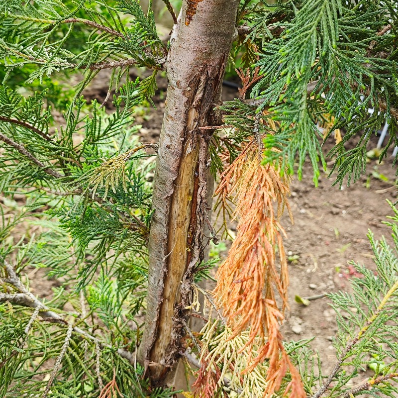 Kép 3