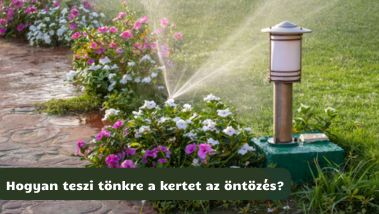 Kemény öntözővíz titkos pusztítása a kertedben
