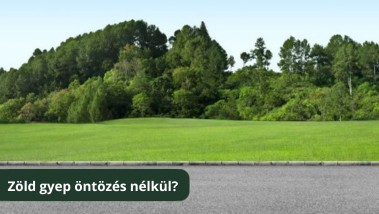 Te is utálod a tarackot? Lehet, hogy mostantól ez másképp lesz!